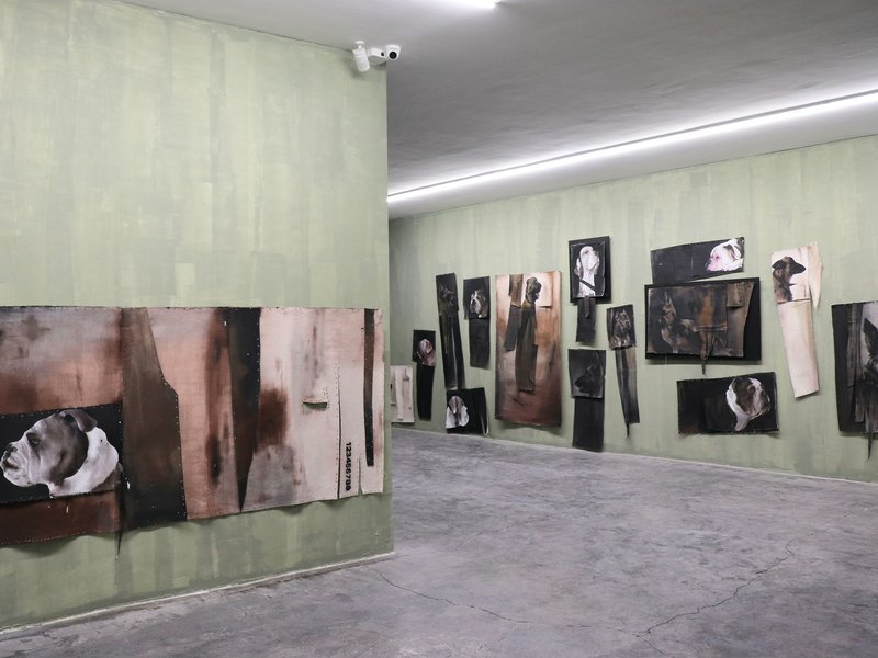 Straw Dogs, installation view