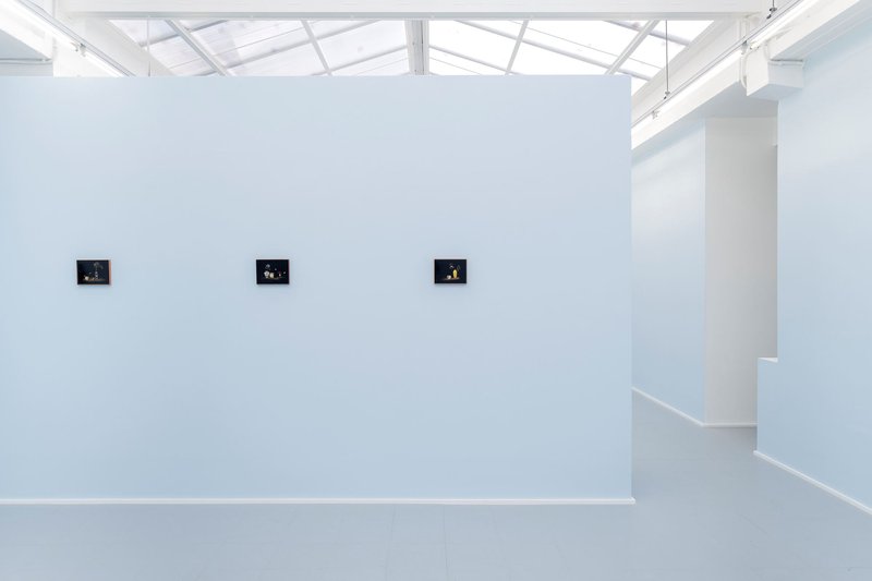 Cyanide, installation view