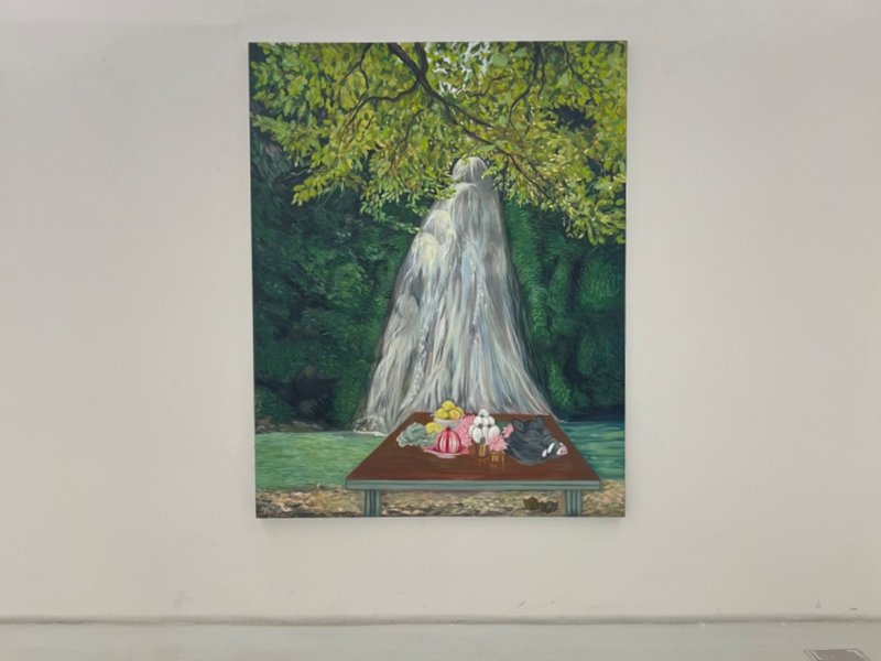 A Yard in Search of Life, installation view