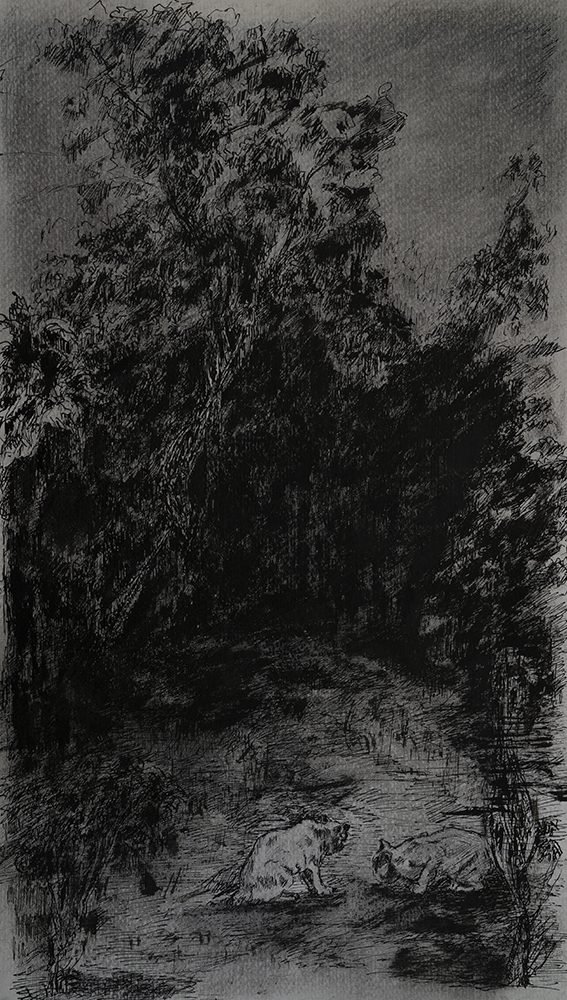 Samaneh Samimi, Untitled, 2018