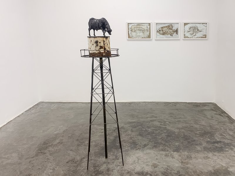 Wetland, installation view