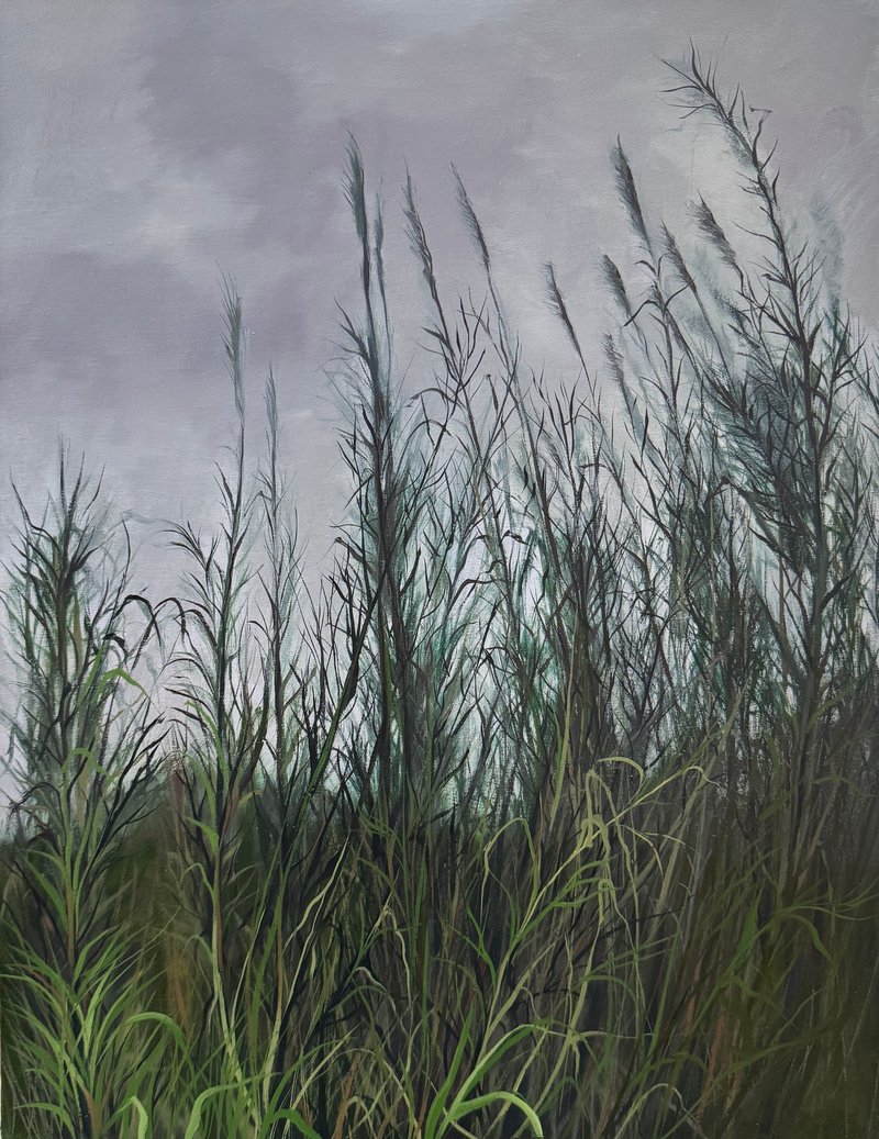 Sara Khaleghi, Untitled, 2025