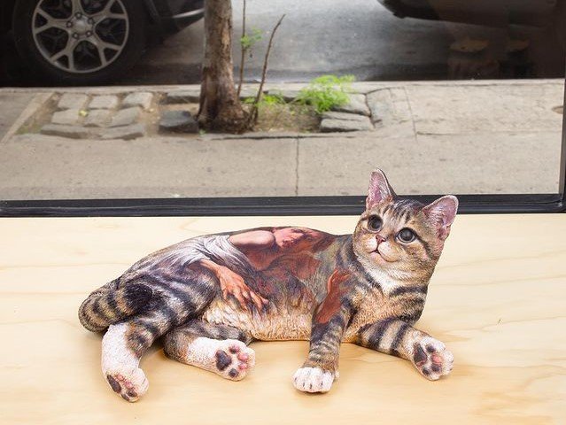 Nine Lives, installation view