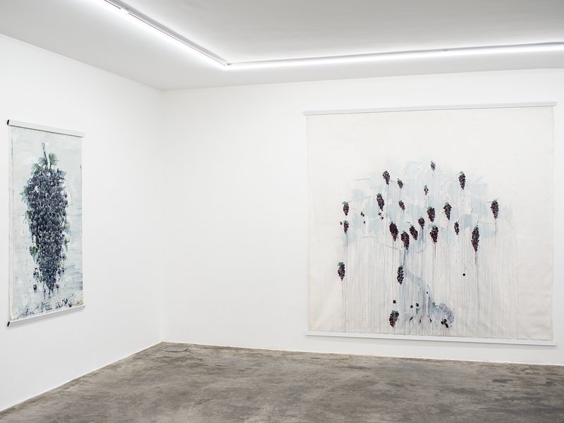 I Made Wine and It Turned To Grapes, installation view