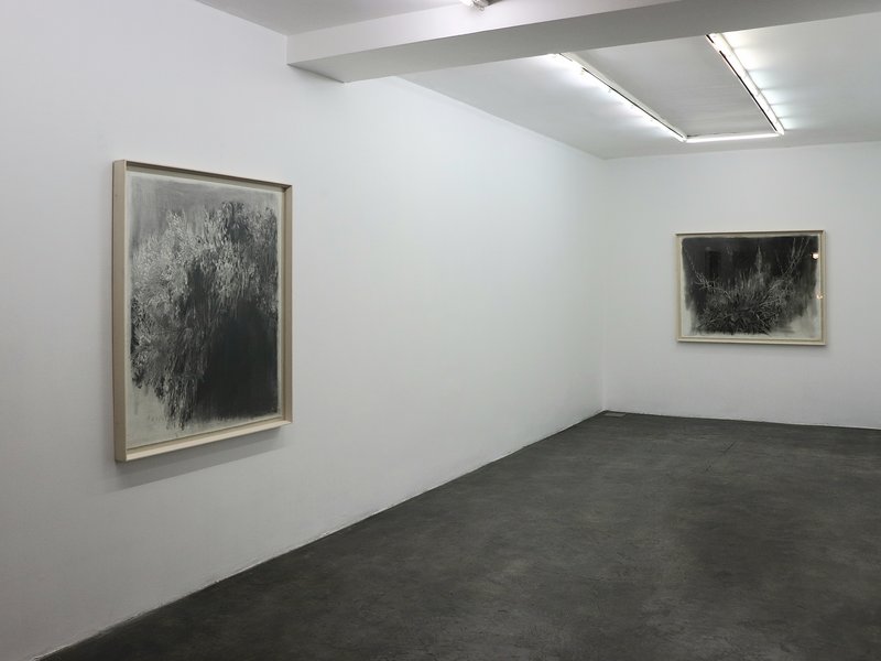 Veiledness, installation view