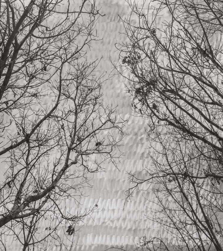 Omid Mehdizadeh, Untitled, 2022