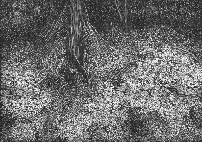 Mahsa Arabzadeh, Untitled, 2023