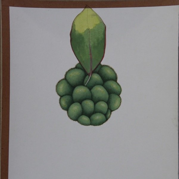 Maryam Baniasadi, Synergy, 2017