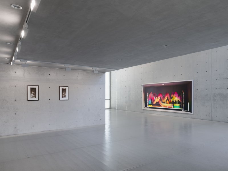 The Stolen Memories, Installation view.