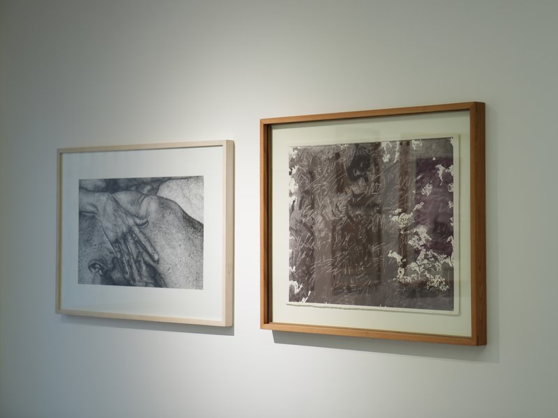 The HAYA Collection and Other Selections Selected, installation view