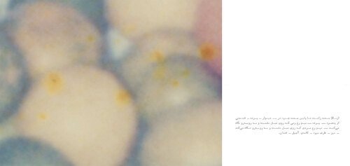 Nastaran Fotouhi, Untitled, 2025