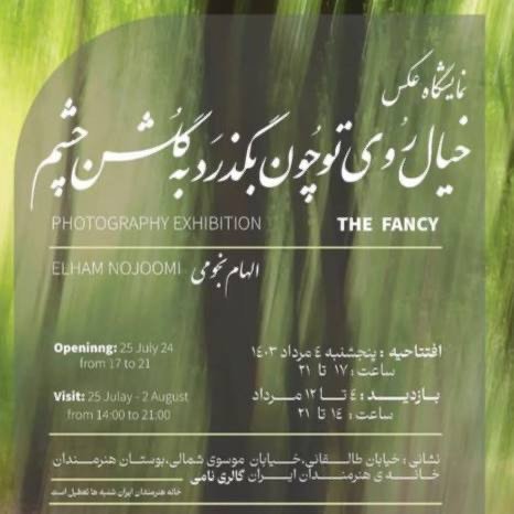 The Fancy