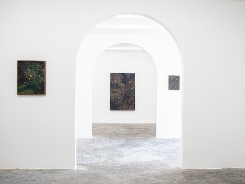 Shazdeh’s Garden, installation view