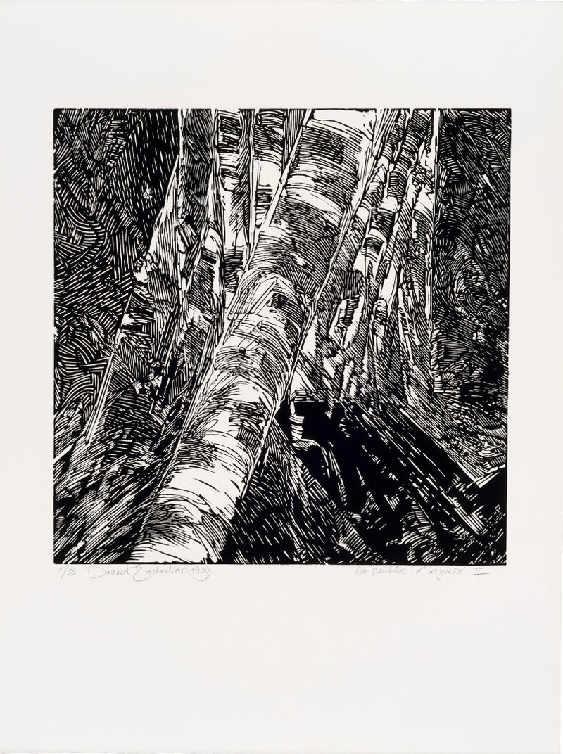Davood Emdadian, Les Peupliers D'argent, 1980