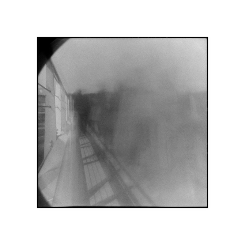 Sina Boroumandi, Untitled, 2019