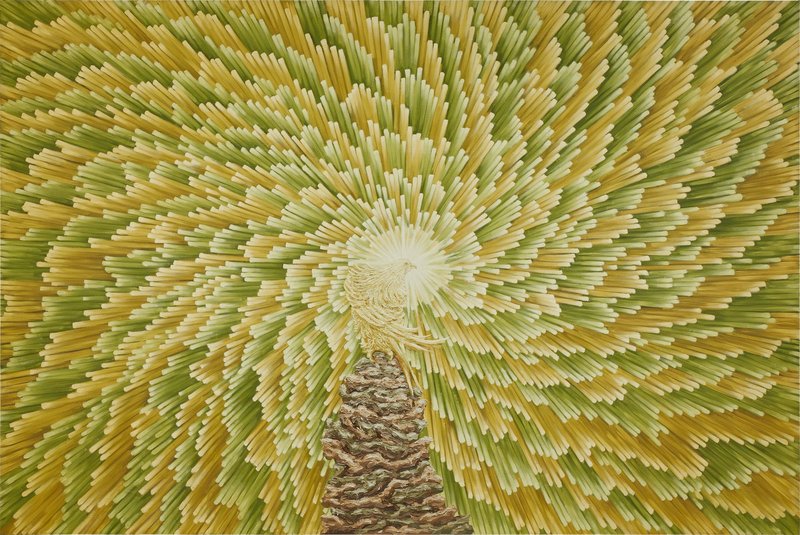 Kamrooz Aram, Supreme Elevation II, 2009