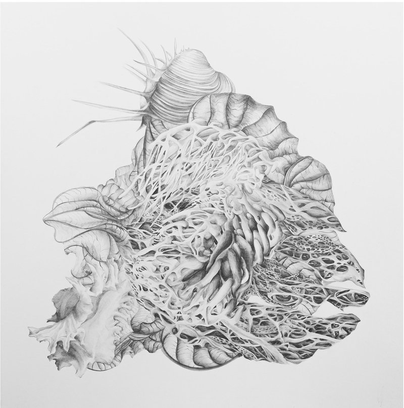Tara Azarm, Untitled, 2024