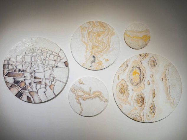 Beyond a Canvas: Eyes on the Work of Nature, installation view