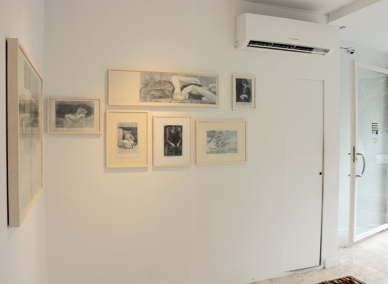 Forget-Me-Not, installation view