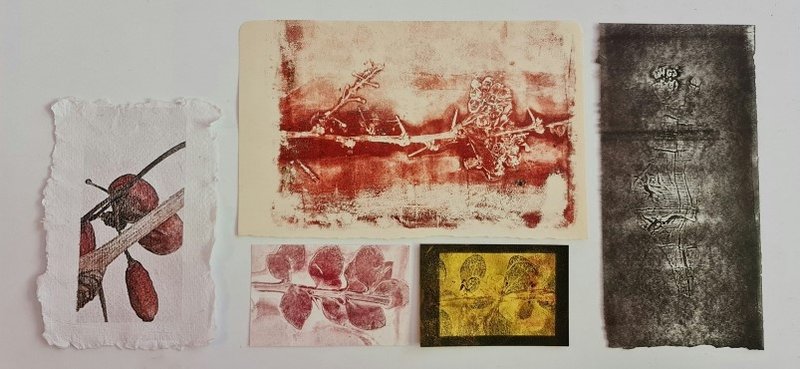 Untitled, 0