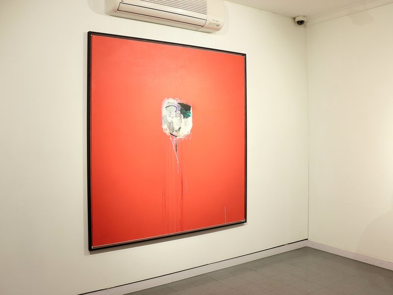 Installation view.