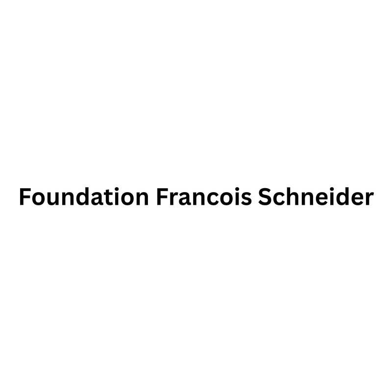 Foundation Francois Schneider
