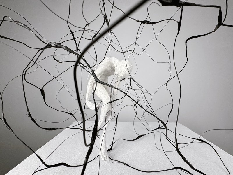 Fatemeh Safari, Untitled, 0