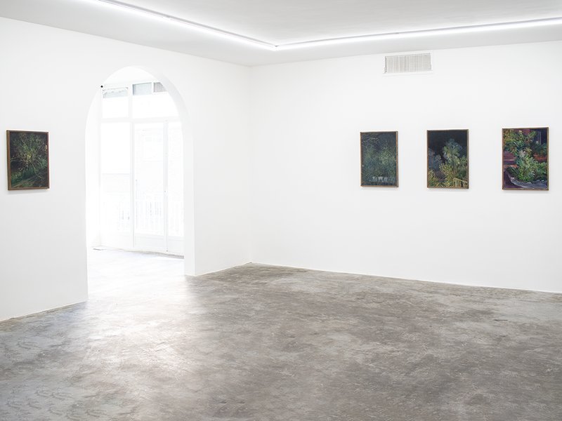 Shazdeh’s Garden, installation view