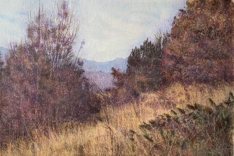 Fatemeh Shakouri, Autumn Trees 1, 2024