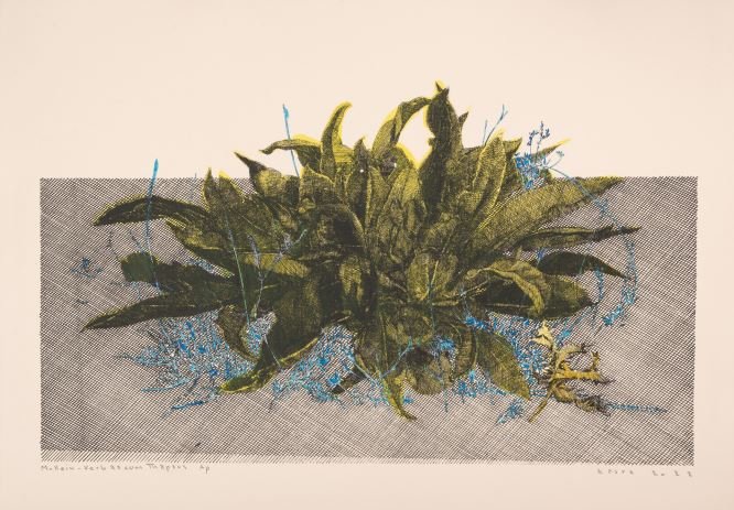 Kasra Golrang, Mullein(Yellow), 2023