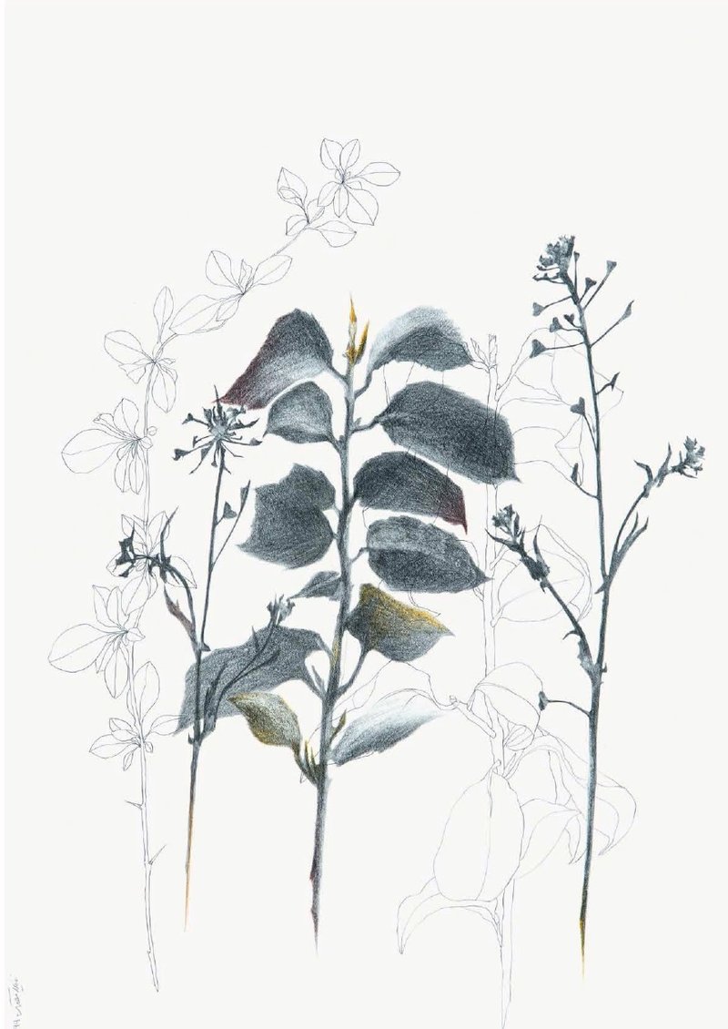 Nazila Moghadam, Untitled, 2019