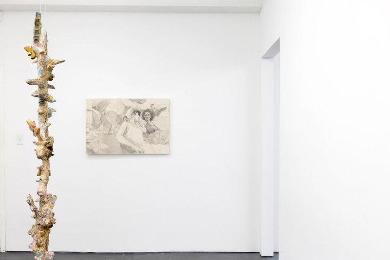 Familiar Like Skin, installation view