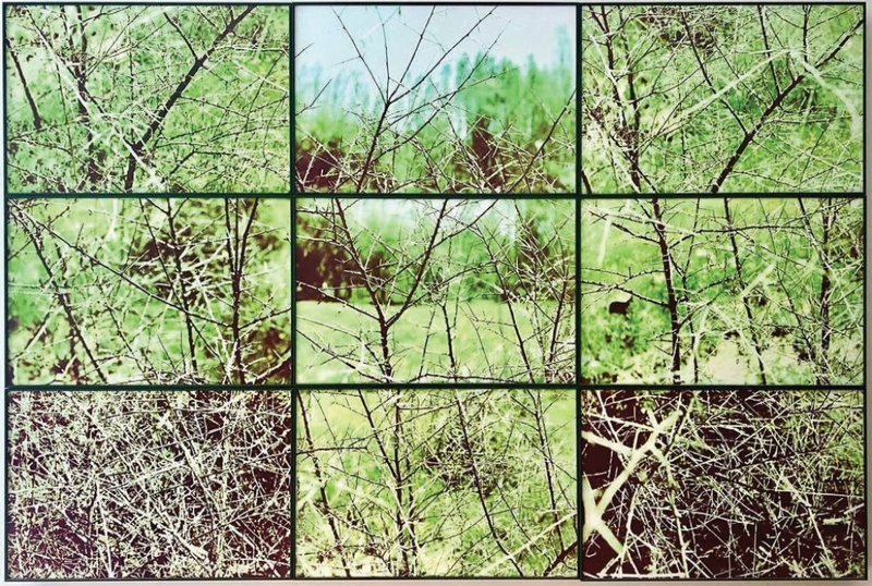 Mehrdad Afsari, Untitled, 2004