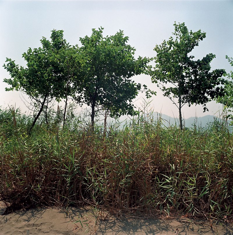 Shahryar Tavakoli, Untitled, 0