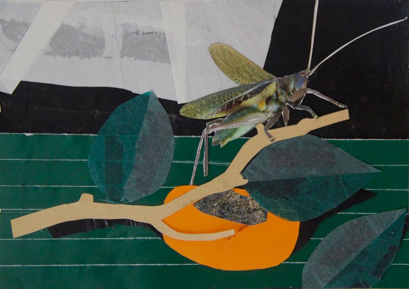 Mirmohamad Fatahi, Vanitas, 2023