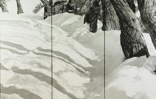 Abbas Kiarostami, Untitled, 2005