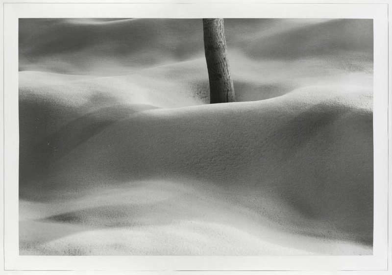 Abbas Kiarostami, Untitled, 2012
