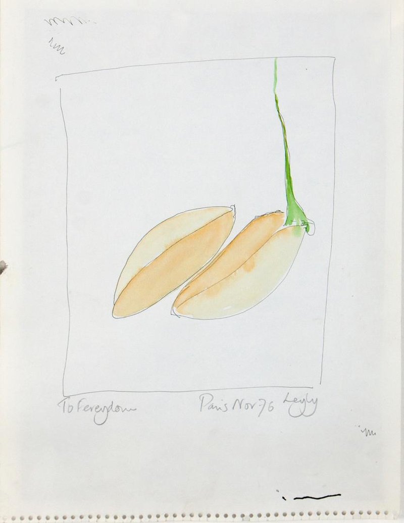 Leyly Matine Daftary, Untitled, 1976