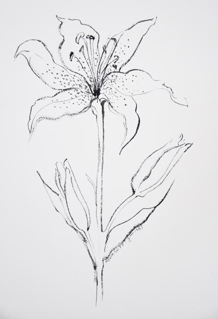 Monir Shahroudy Farmanfarmaian, Lily 04, 1989