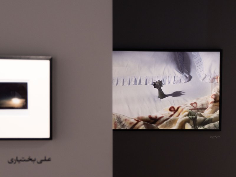 The Nap, installation view