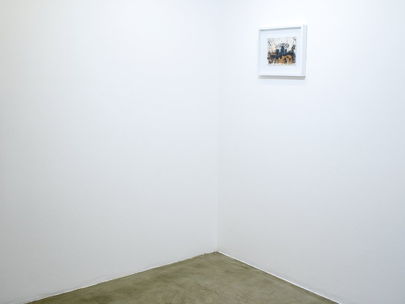 Cognations, Relations, installation view