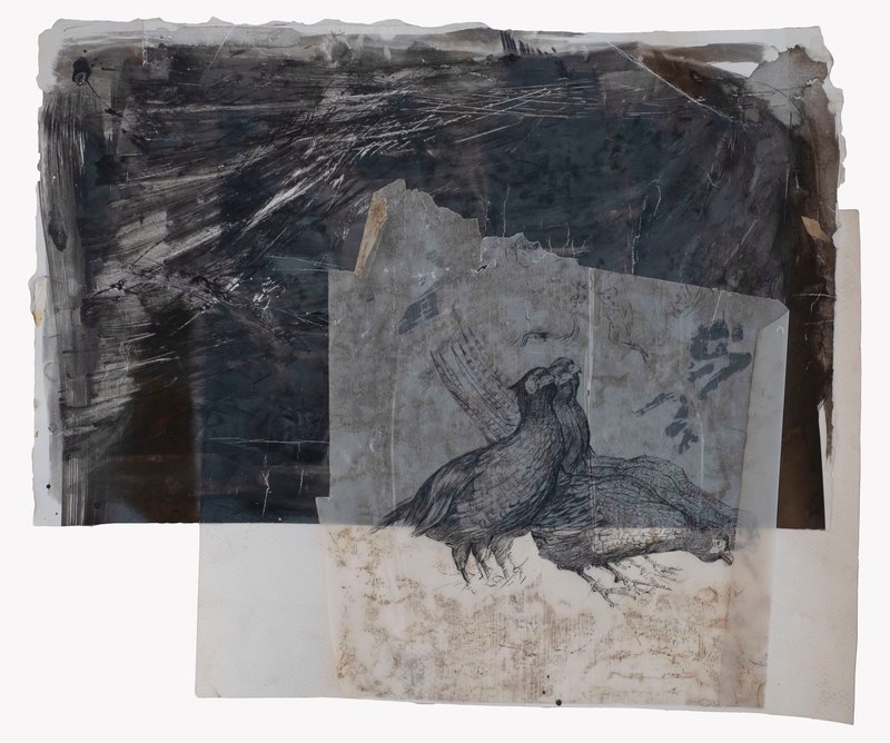 Samira Shakeri, Untitled, 2020