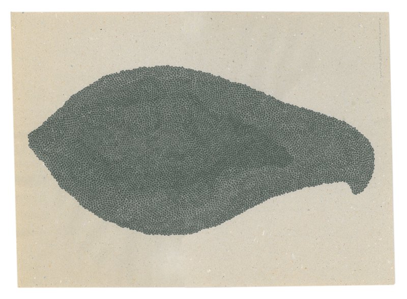 Ali Shayesteh, Hump, 2017