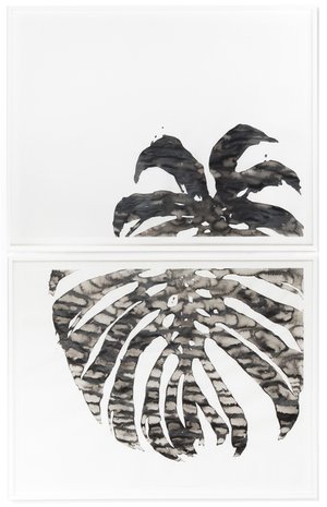 Abbas Akhavan, Untitled, 0