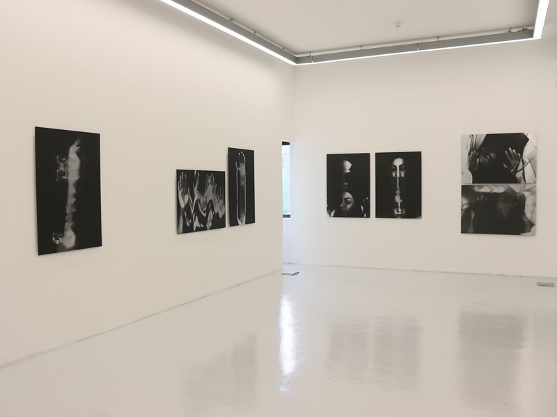 Living Creature, installation view