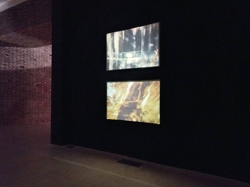 I Am Standing in the Middle of the Information Highway and Laughing – –, installation view