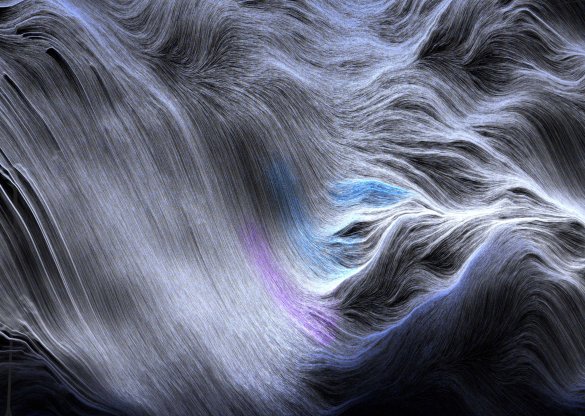هومن دهقانی، بدون عنوان، 1404