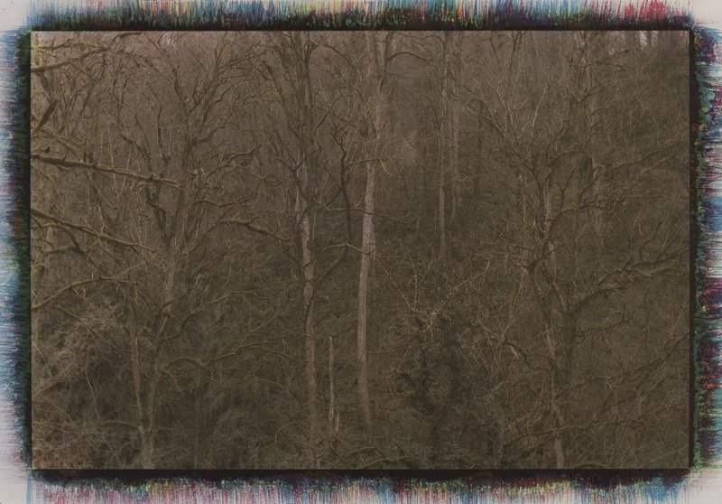 Mehrali Razaghmanesh, Untitled, 2020