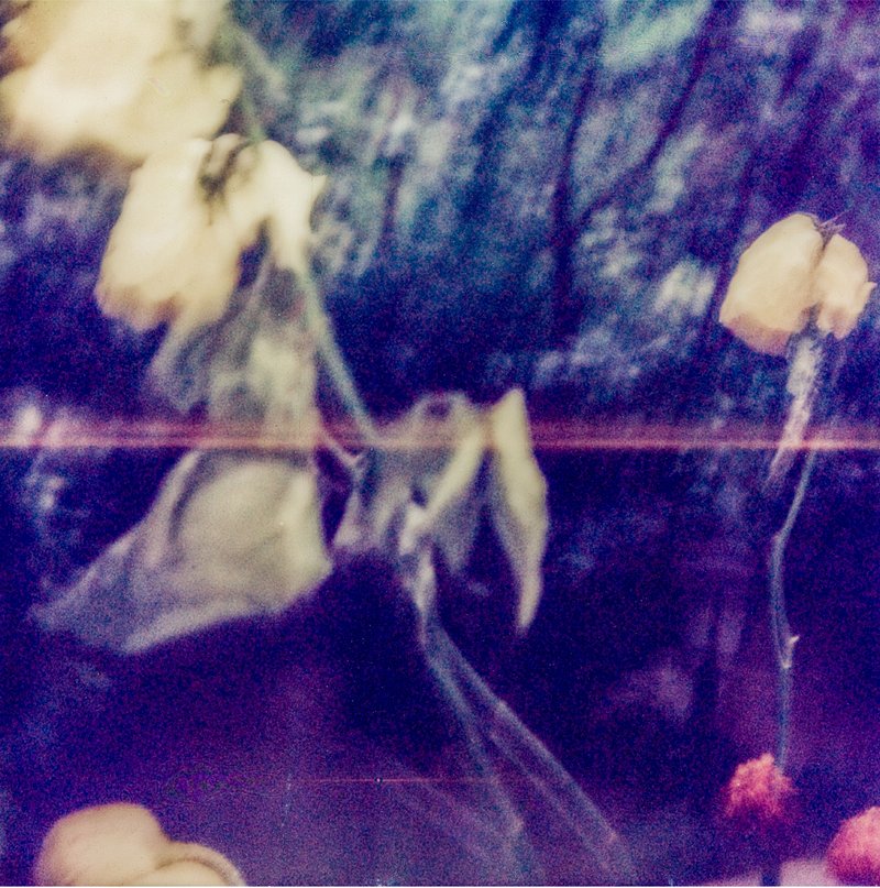 Mehrdad Afsari, Untitled, 0