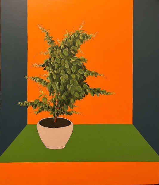 Afshin Sadipoor, Untitled, 2024